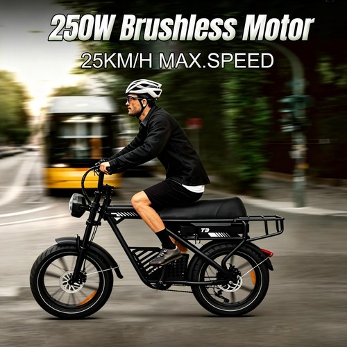 Avdl fatbike 250w 25kmh - avdl, e-fatbike