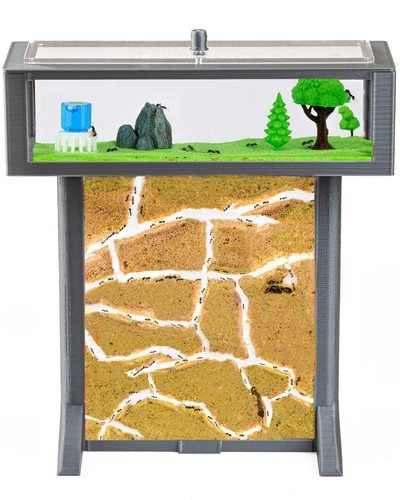 Ameisenfarm ameisen mit - ameisenfarm, 3d